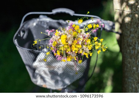 Bunch of field flowers in the bike basket