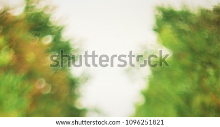 
blurred and faded green-brown background