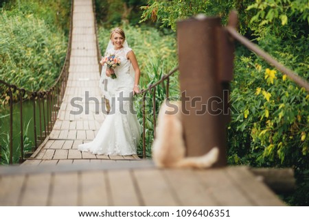 bride in a white wedding dress stay on the bridge through the river . Cat looking at the bride. Funny moment