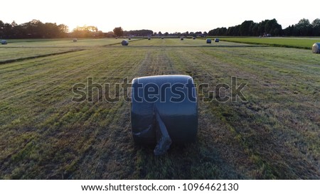 Aerial sundown picture of partially dried mown grass formed into cylindrical polywrapped sealed bales in the field moving backwards over the field showing black silage and buildings in background