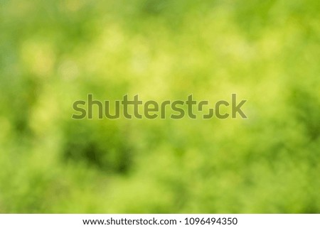 A beautiful green glade with young leaves. Abstract defocused picture of nature.
