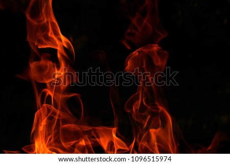   Fire flames on black background                             