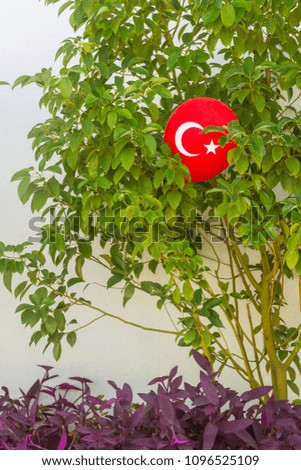 The balloon of the Turkish flag lies on the branches of the green bush after the holiday