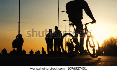 Silhouettes of people, families, friends, crowd in a park at sunset