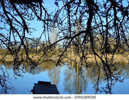 View of the blue forest lake in early spring through the branches of the old Apple tree
