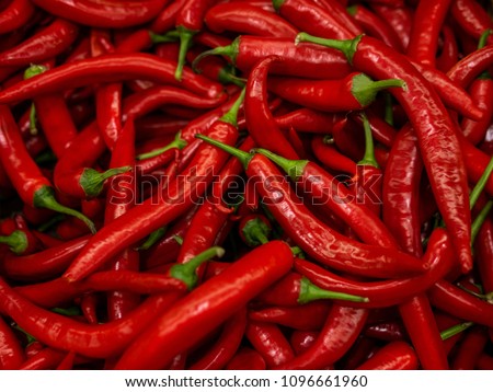 Red hot chilli peppers pattern texture background. Close up. Landscape. A backdrop ofRed hot chilli peppers. Street vegetable market. Group of Red hot chilli peppers Royalty-Free Stock Photo #1096661960