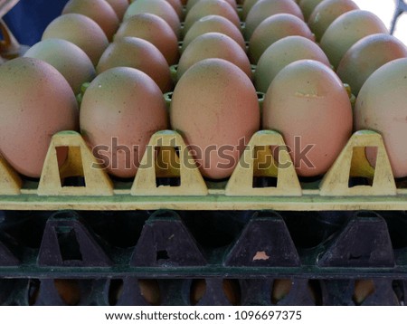 fresh chicken eggs on the market.