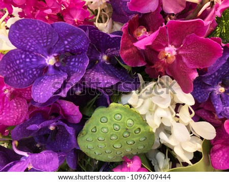 Closeup picture of orchid arrangement