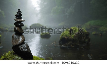 Rocks by a swamp