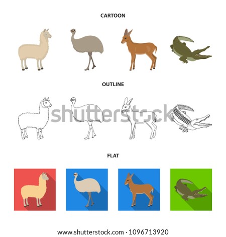 lama, ostrich emu, young antelope, animal crocodile. Wild animal, bird, reptile set collection icons in cartoon,outline,flat style vector symbol stock illustration web.