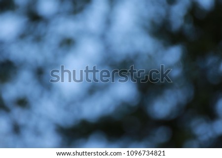 Trees with Sky defocused or Blurred background.