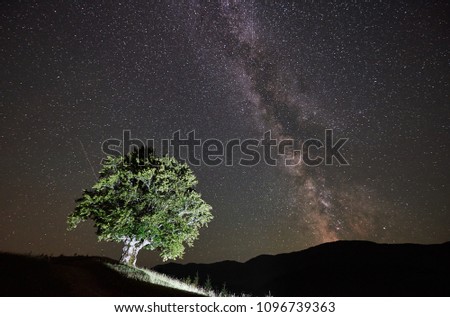 Illuminated lonely high tree under amazing starry night sky and Milky way in the mountains