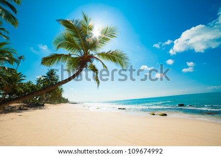 Untouched tropical beach in Sri Lanka Royalty-Free Stock Photo #109674992