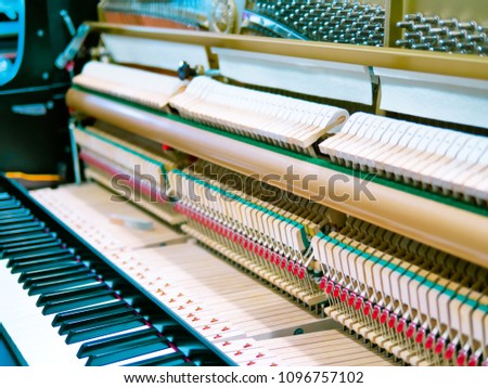 Piano mechanical with smooth depth of field.