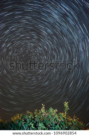 Star Trail above the trees