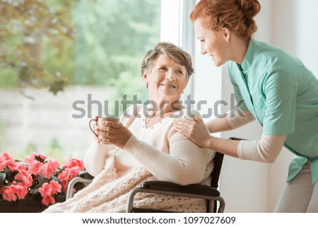A professional caretaker in uniform helping a geriatric female patient on a wheelchair. Senior holding a cup and sitting by a large window in a rehabilitation center. Royalty-Free Stock Photo #1097027609