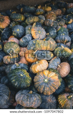 Many pumpkins on the market.