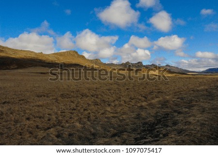 A wild field landscape in sunlight with dry grass growing on top of frozen lava in Icelandic Reykjanes peninsula