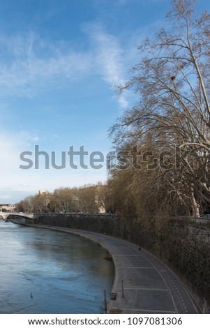 Vertical picture of Tiber River with local vegetation during blue sky day in Rome, Italy