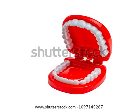 Cute human toy teeth isolated on white background, Open jaw.