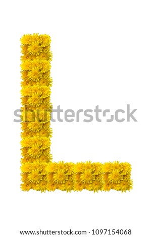 Flower font alphabet l, made of alive flowers dandelions.