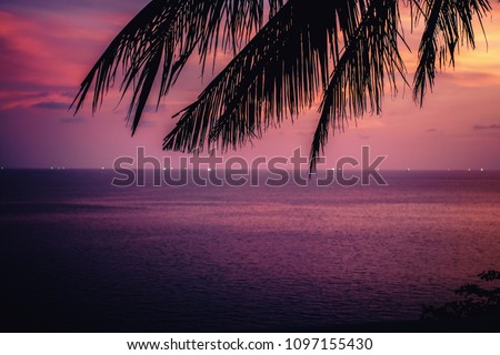 Tropical sunset with palm tree leaves in the background of the sea