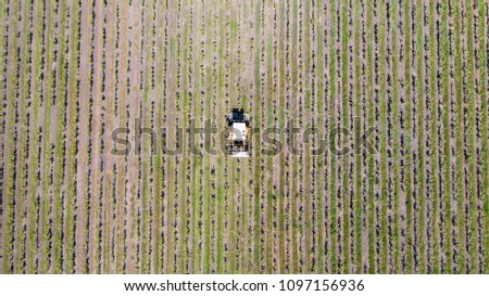 Aerial photo of a tractor harvesting grapes in a vineyard, Loire Atlantique