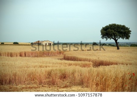 A spanish countryside with a farm among wheat spikes and a tree