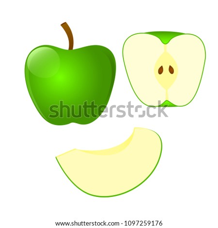 Set of green Apple and cut in half Apple and slice isolated on white background. Vector illustration.