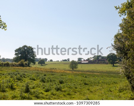 open farm field green grass lush pasture landscape background; essex; england; uk