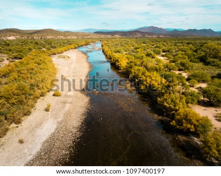 Wild horses drinking water and grazing in the river aerial photo