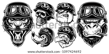 Set of animals bikers. Design of motorcycle riders. Sport mascots, isolated on white background. Royalty-Free Stock Photo #1097424692