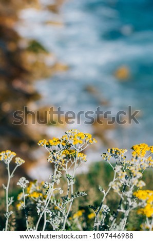 Weeds and flowers with the blurred ocean as a backdrop. 