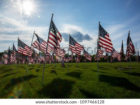 field of American flags on display for memorial day