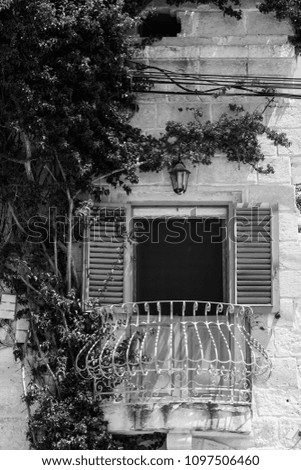 Building with traditional maltese window decorated with fresh flowers. Black and white picture 