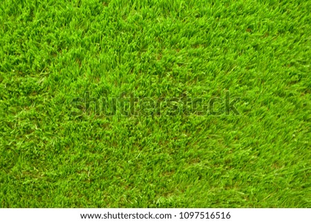 Background and texture of Beautiful green grass pattern from golf course and football

