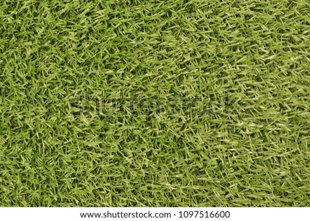 Background and texture of Beautiful green grass pattern from golf course and football
