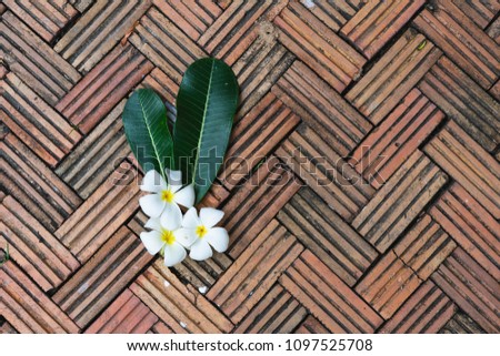 the plumeria flower in spa on pattern brick background