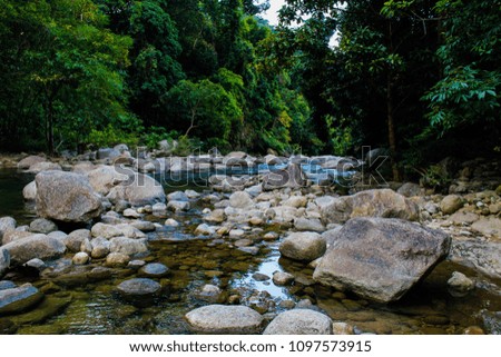 Streams with rock and green nature