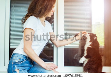 
young beautiful curly woman is training a cat on a background of blinds