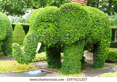 green garden and trees in elephant shape