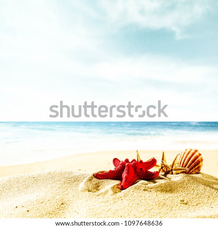 Summer photo of shell on sand and landscape of sea. Free space for your decoration. 