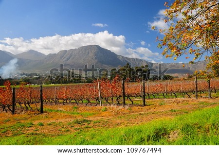 Franschhoek wineland area, South Africa Royalty-Free Stock Photo #109767494