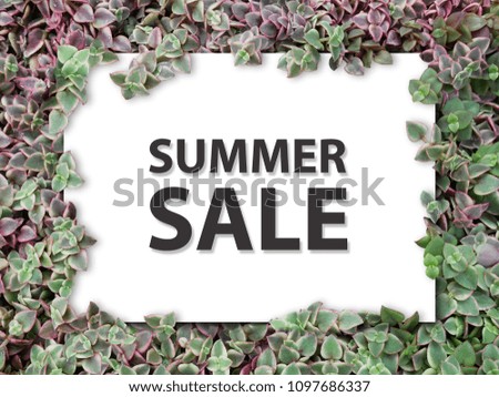 Creative layout made of natural tropical small leaves with paper card note in center and copy space for and text "SUMMER SALE" on it. Flat lay. Nature Mock up concept