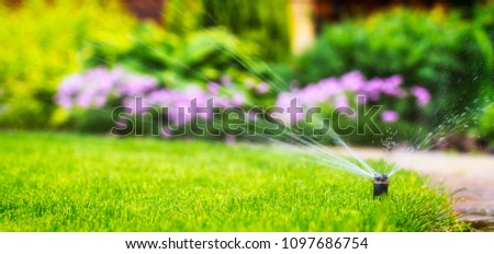 automatic sprinkler system watering the lawn Royalty-Free Stock Photo #1097686754