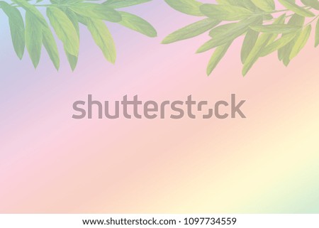 Green Leaves on a paper card 