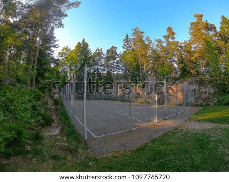 An empty basketball court in the middle of the forest