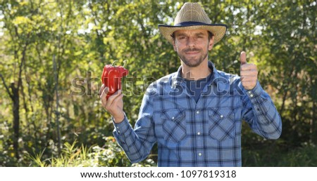 Successful Farmer Man Holding Red Pepper Vegetables from Bio Garden and Showing Thumb Up Sign Hand Gesture, Organic Farming Concept
