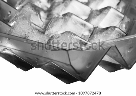 Frozen ice cubes in the cells of a plastic container on a white background.