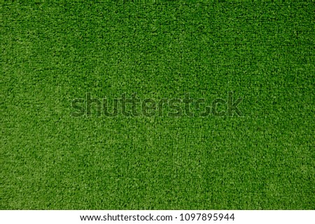 Green grass of the golf course, green grass background.

